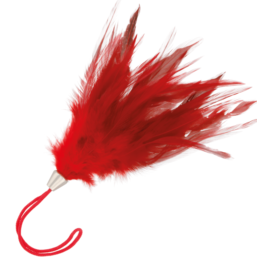Piumino Bdsm Stuzzicante Darkness Feather Rosso 17 cm Piumino Bdsm Stuzzicante Darkness Feather Rosso 17 cm