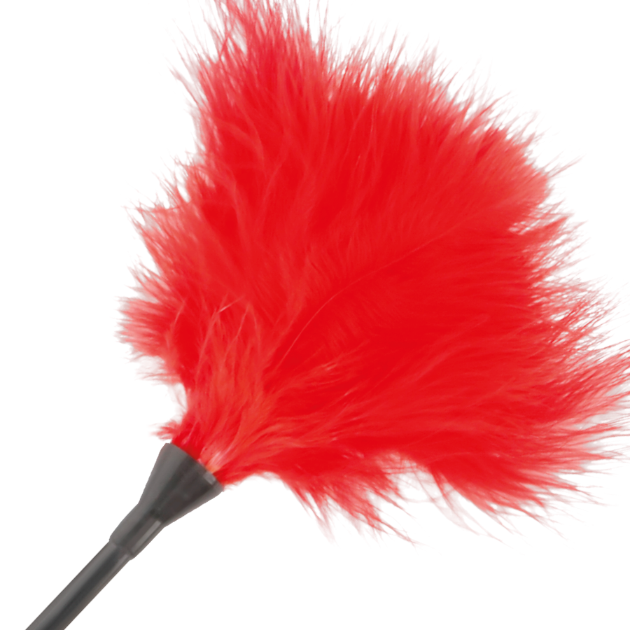 Piumino Bdsm Darkness Rosso Feather 42 cm 2 Piumino Bdsm Darkness Rosso Feather 42 cm 2